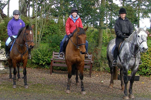 Maddybenny Riding Centre