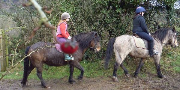 Greenvale Equestrian Centre
