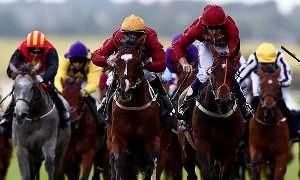 Horse Racing
