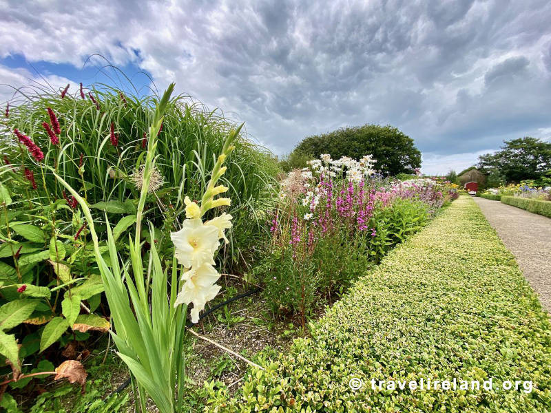 Carlow Gardens