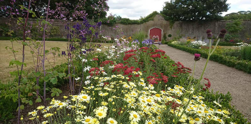 Duckett's Grove Walled Gardens, Kneestown, Carlow