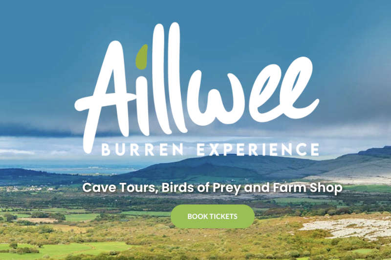 Aillwee Cave & Birds of Prey Centre: