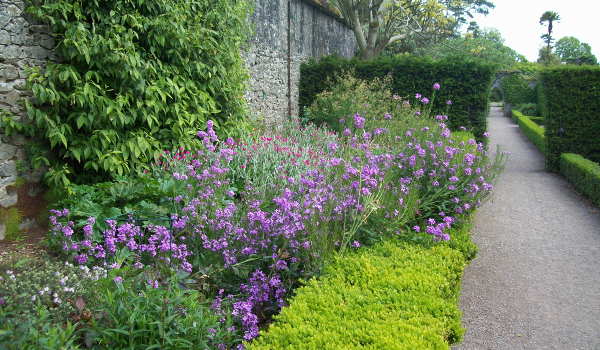 Fota Arboretum & Gardens
