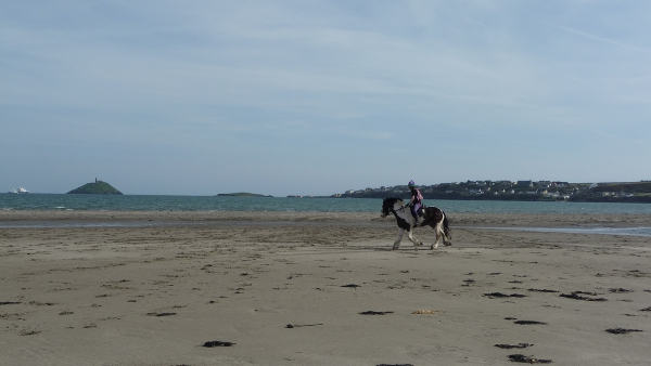 Garryvoe Beach