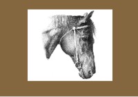 Schull Equestrian Centre