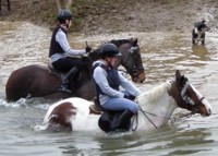 Valley View Equestrian Centre