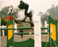 West Cork Equine Centre,