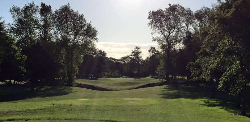 Beaverstown Golf Club