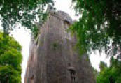  Dunsandle Castle and Woods Galway