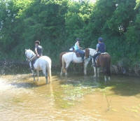 Flowerhill Equestrian Centre