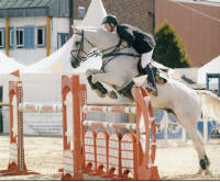 Galway Equestrian Centre