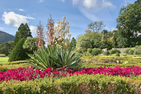 Galway Parks & Gardens
