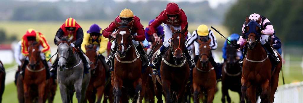 The Curragh