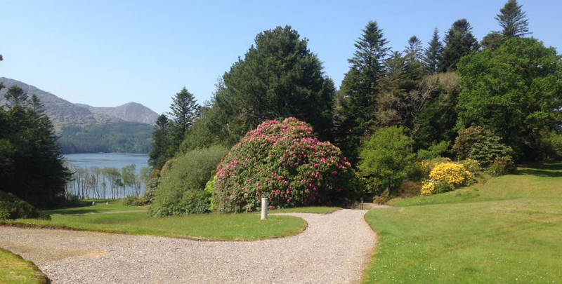 Derreen Garden, Kenmare