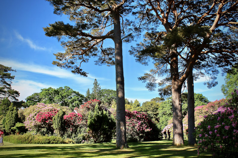 Muckross House & Gardens
