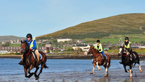 Tralee Equestrian Centre
