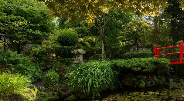 Irish National Stud & Japanese Gardens, Tull