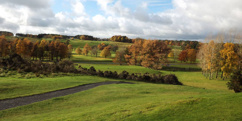 The Curragh Golf Club