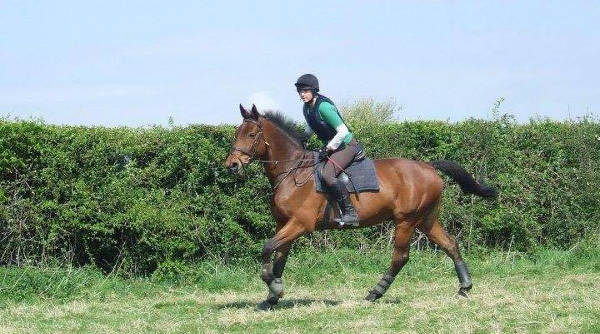 Grennan College Equestrian Centre