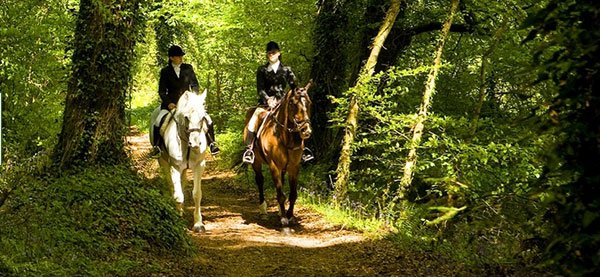 Mount Juliet Estate Equestrian Centre