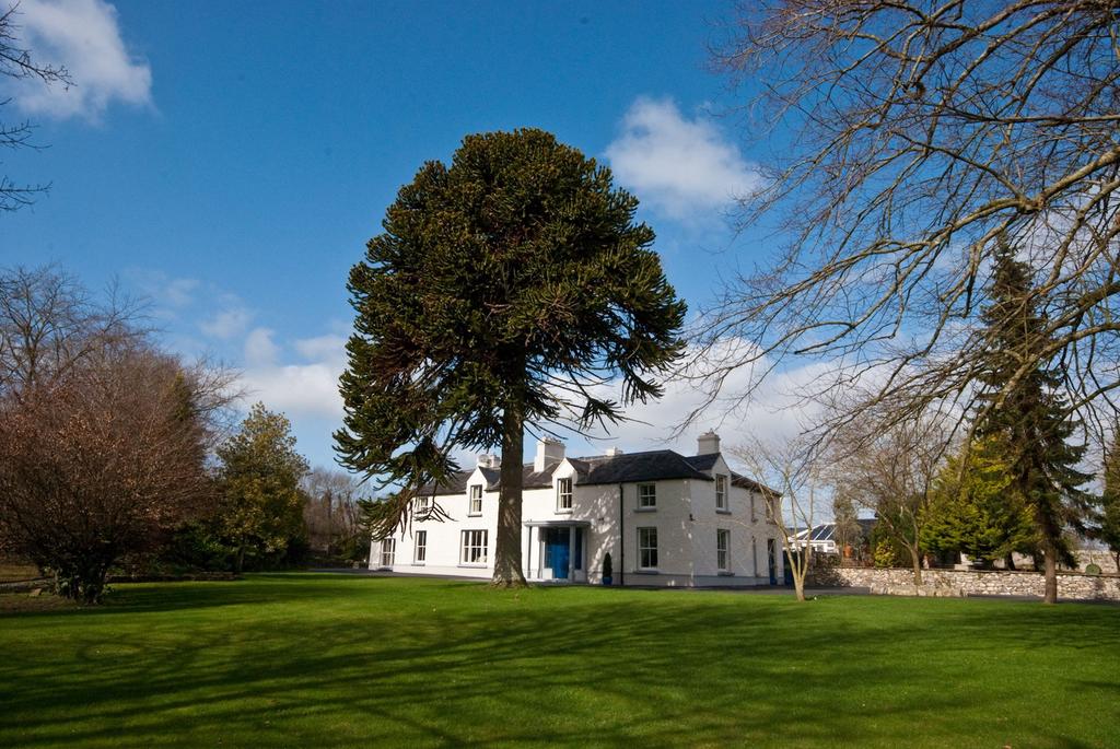 Sandymount House Bed & Breakfast Abbeyleix 