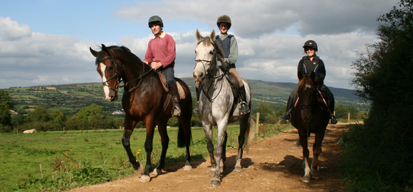 Hillcrest Equestrian Centre, Galbally