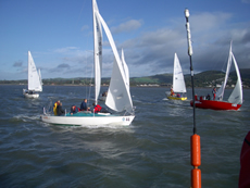 Carlingford Lough Louth