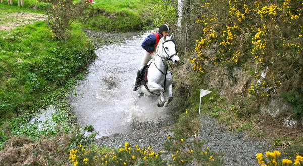 Dunany Cross Country Equestrian Centre Louth