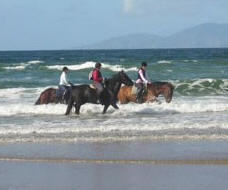 Island View Riding Stables, Moneygold, Grange