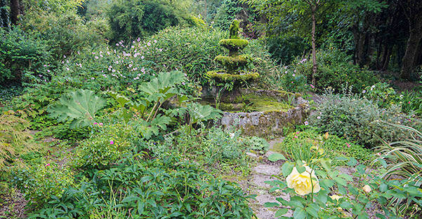 Ballyboy House & Gardens, Cahir Tipperary