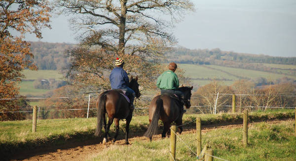 Crossogue Equestrian Centre, Thurles