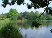 Dungannon Park Tyrone