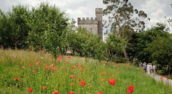 Lismore Castle & Gardens