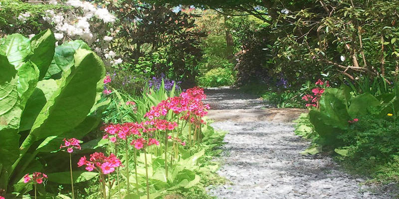 Kilmokea Gardens 