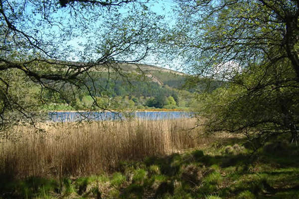 Wicklow Mountains National Park